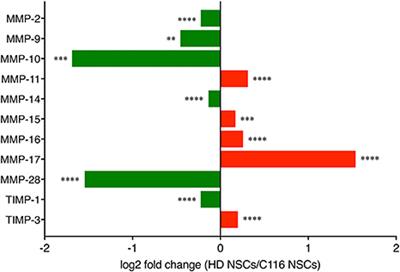 Altered Expression of Matrix Metalloproteinases and Their Endogenous Inhibitors in a Human Isogenic Stem Cell Model of Huntington's Disease